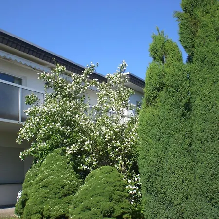 Ambiente In Homberg Ot By Interhome Homberg (Schwalm-Eder)